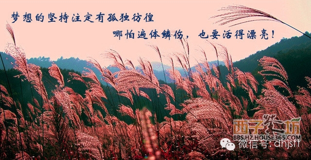 !一个<em>男人与女人的对话</em> 一只母鸡与小鸡的对话