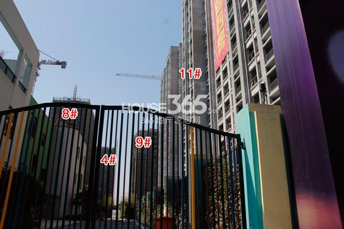中大普升4、8、9、11号楼施工进度实景图 2015年2月摄