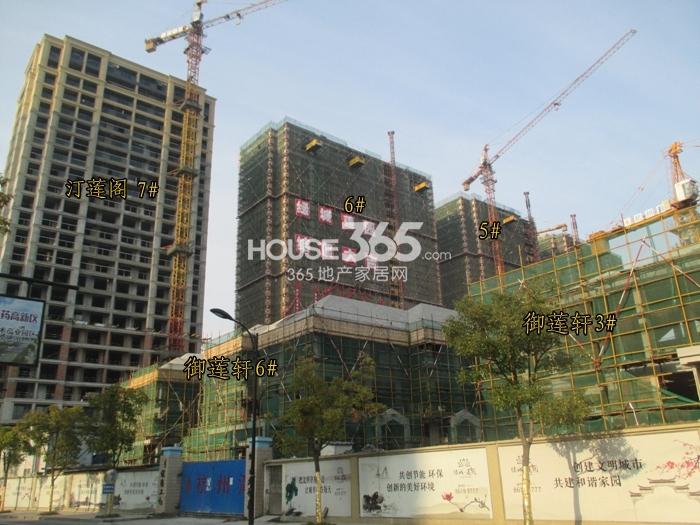 绿城莲园项目汀莲阁5—7号楼施工进程图（2015.3）