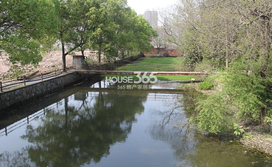 萧山旭辉4、5号地块周边配套——河景