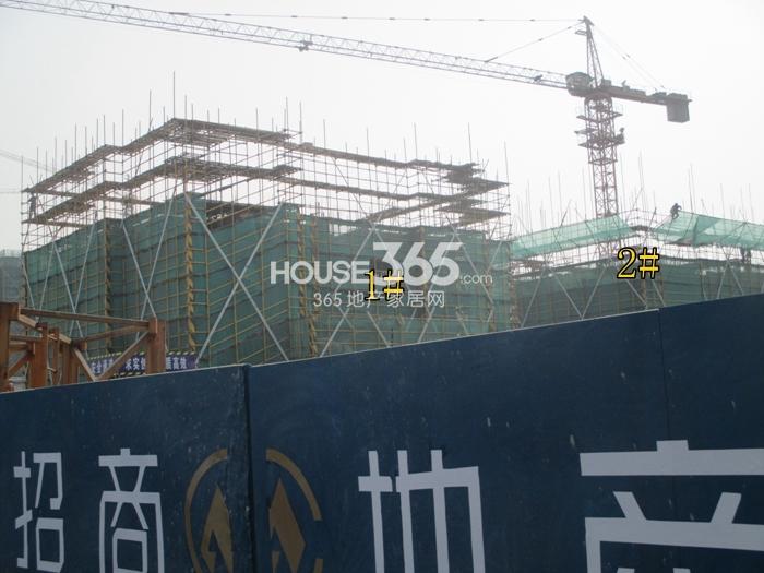 2015年4月底雍景湾项目实景--1、2号楼