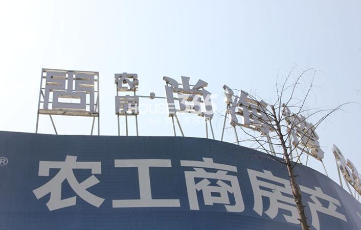 农房尚海湾现场 2015年3月摄