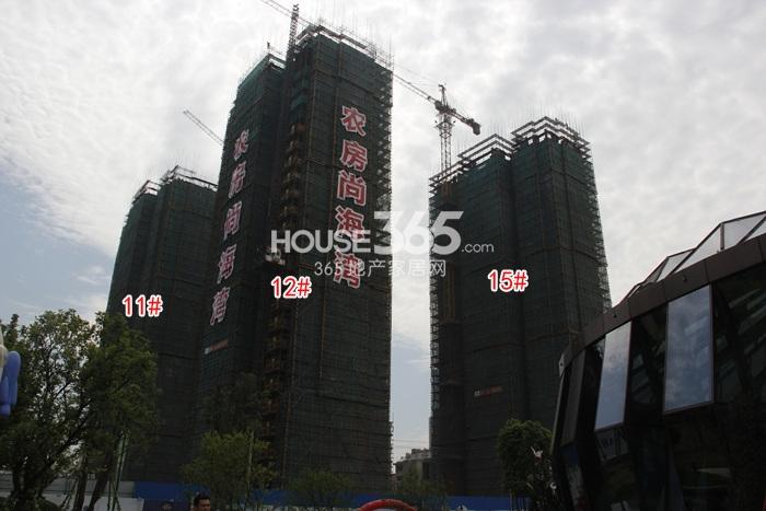 农房尚海湾15、12、11号楼实景图 2015年5月摄