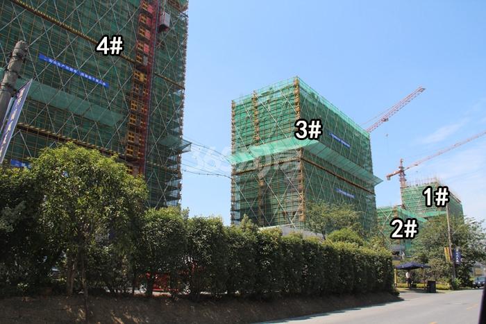 首开国风美域1—4号楼施工进程图（2015.7）