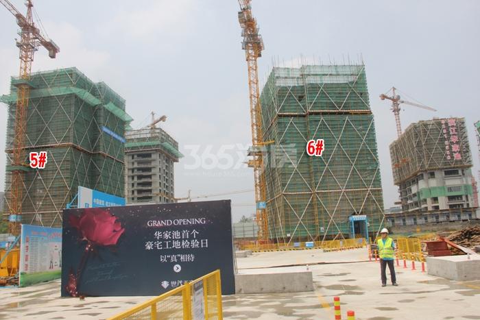 世茂天宸5、6号楼施工进度 2015年7月摄