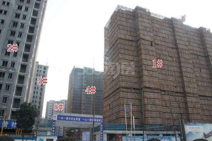 阳光城翡丽湾1、2、4、5、8号楼施工进度实景图 2015年12月摄
