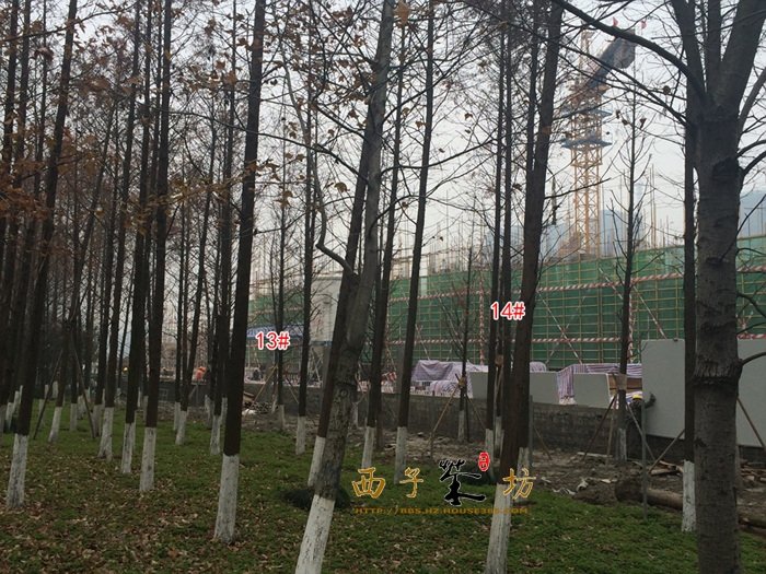 中国铁建江南国际城13、14号楼实景图 2015年12月摄