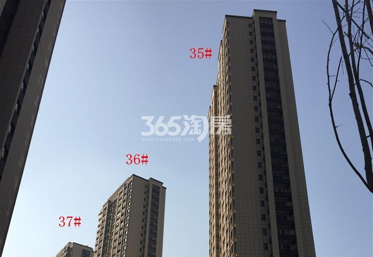 中海国际社区高层楼栋实景图（1.20） 