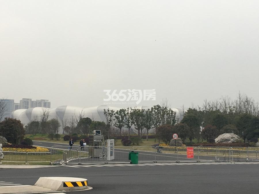 碧桂园深蓝国际中心周边奥体中心 2017年3月摄