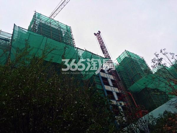 中南君悦府26#楼工程进度（2017.10）